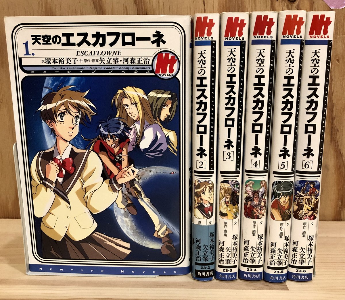 即決/天空のエスカフローネ/全6巻/塚本裕美子 矢立肇/角川書店 - 文学 ...