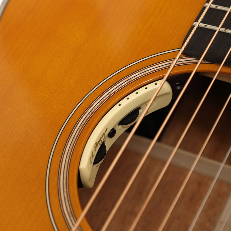 VG-00 Mahogany/Challenger / VG | CHALLENGER REC