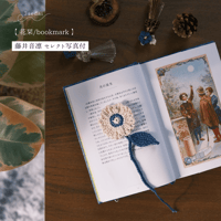 【写真付】SummerSnow/花栞