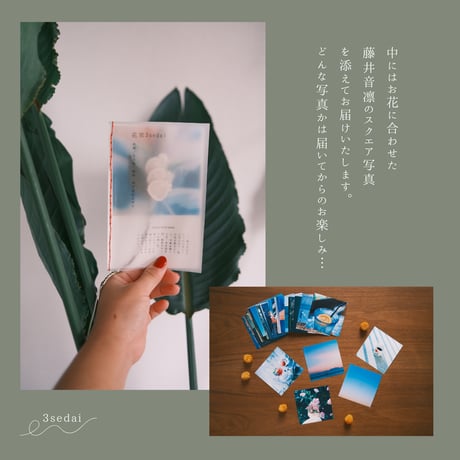 【写真付】Blue daze/花栞