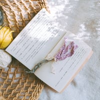 lavender/花栞