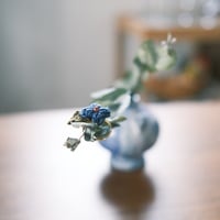 【写真付】記憶のぼやけ/ring