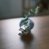 【写真付】おはよう_行ってきます/ring