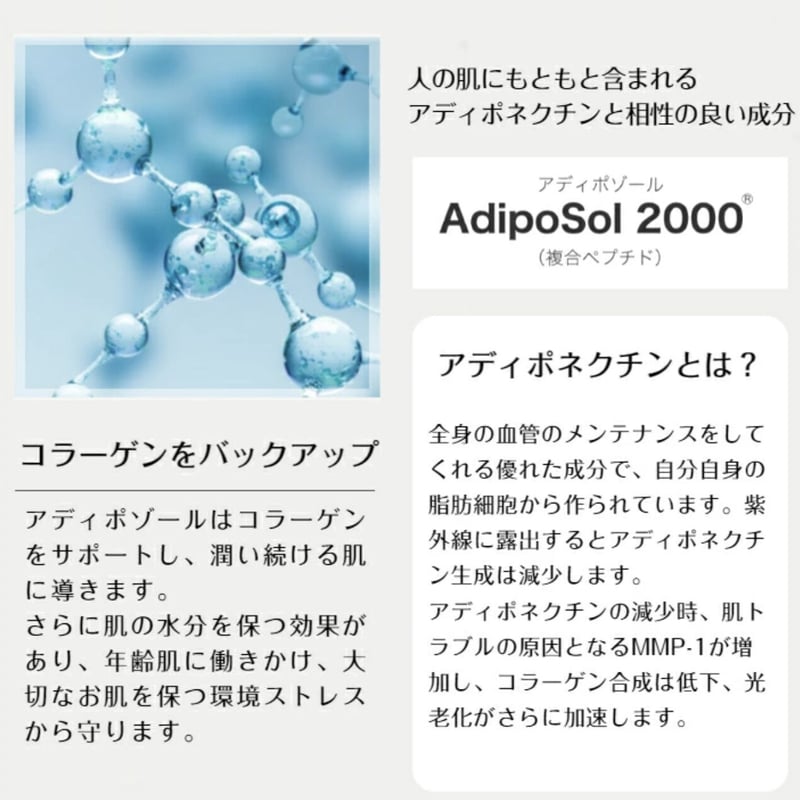 V3シャイニングファンデーション 本体 V3 本体シリアル付 【正規取扱 ...