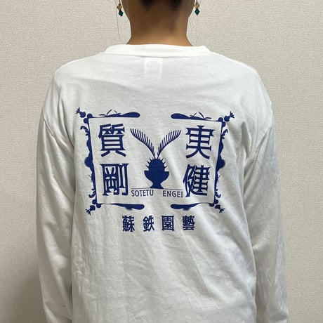 蘇鉄園藝