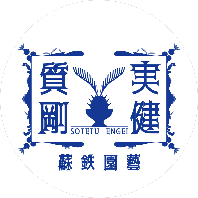 蘇鉄園藝