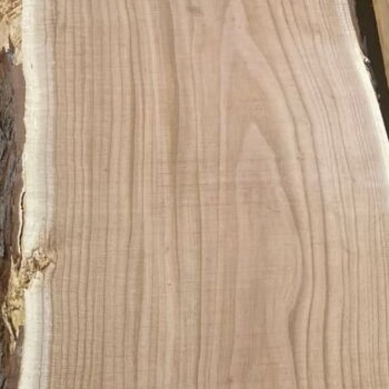 一枚板［センダン］【M-001-Z1】サイズH1800㎜×W470㎜×D90㎜ | ㊑Miya