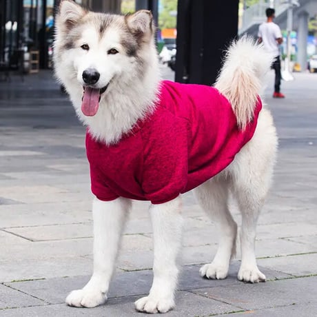 犬 猫 ペット服 セーター ワインレッド 3XL 6XL