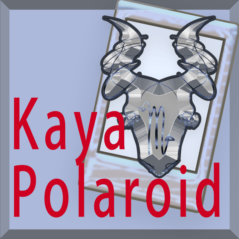 Kaya様チェキまとめ チェキ ~ver.Kaya~ | SHOP 369