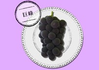 巨峰 ３~４房(２㎏)