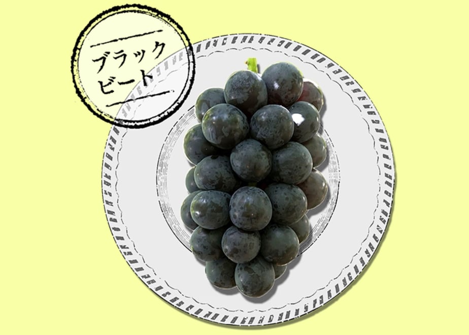 6423c7c14be9ef002a5b1eeb