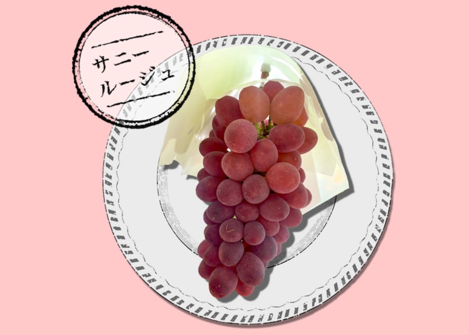 641c6b651d03e900641dffd5