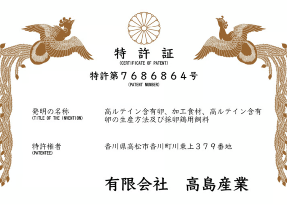 686e9edca18e8d17f1676626