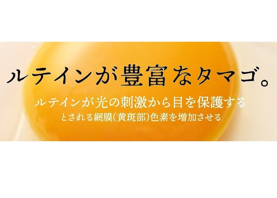 6583a57706b01a049d3d5c92