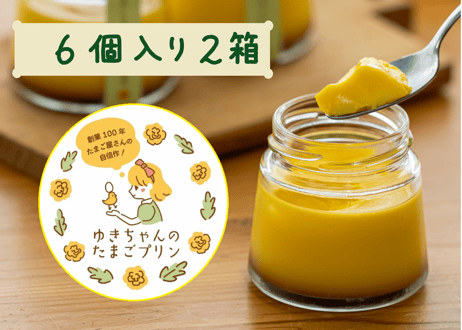 ゆきちゃんのたまごプリン（6個入り×2箱）