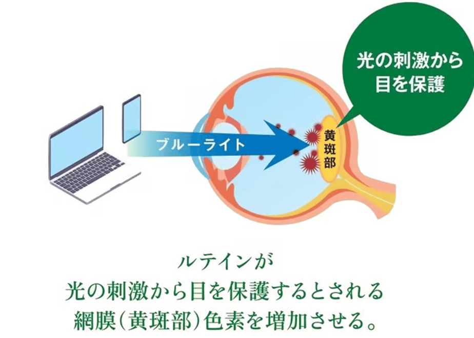64073cbf072c3c5c1a9786ef