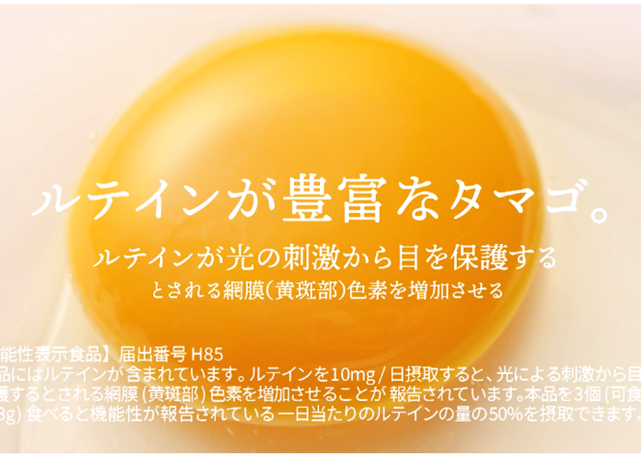 64073cbf072c3c5c1a9786ef