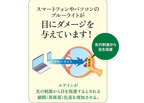 機能性表示食品　あらん　　　　　　　１０個入り ✕ ６パック入　　　　　　（税込・送料別）