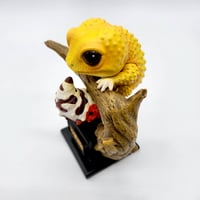 ヒョウモントカゲモドキ
