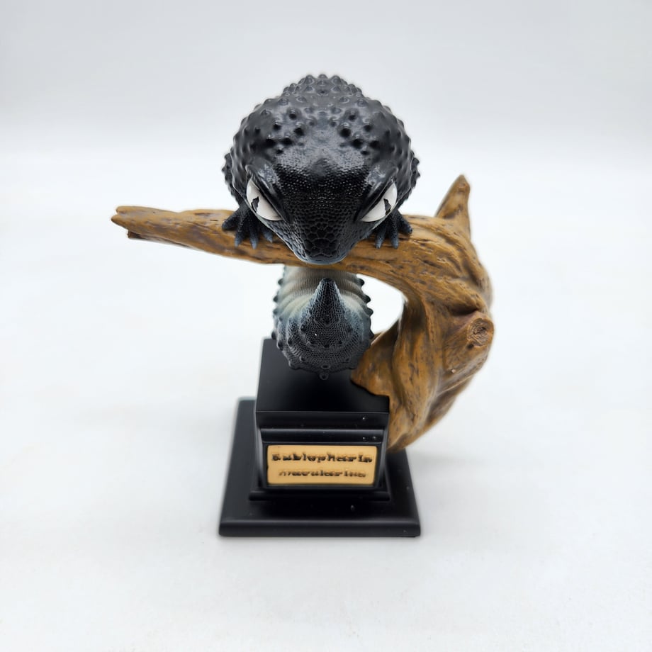 64c09df6191a4b002f972fc9