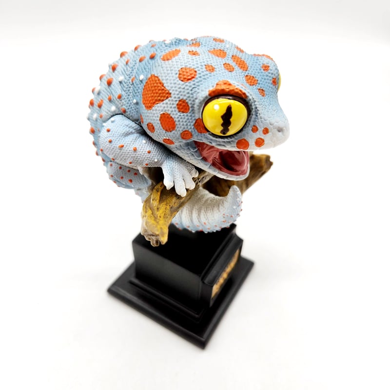 30CM級 ペット用品 博物志 トッケイヤモリ BIGフィギュア