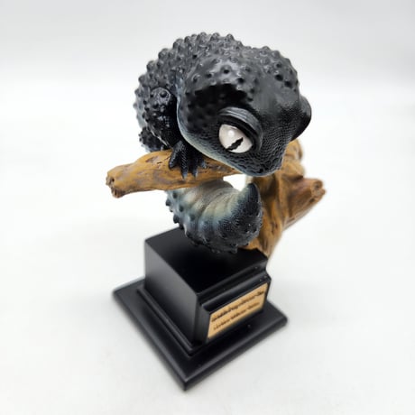 ヒョウモントカゲモドキ ブラックナイト