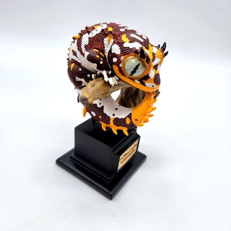 ゲッコー | STORES