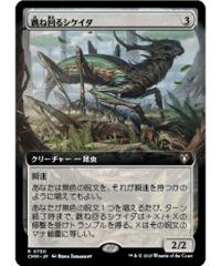 (日・拡張)跳ね回るシケイダ/Skittering Cicada［CMM R］