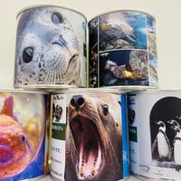 全缶セット