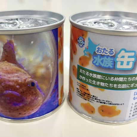 水族缶　　フウセンウオ