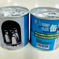 水族缶　　ペンギン
