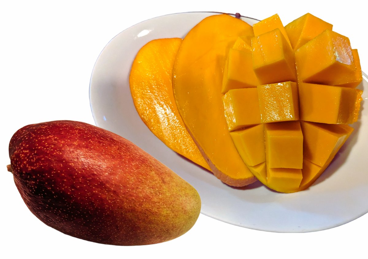 1.4～1.8kg 訳あり品 】玉文 マンゴー（ギョクブン） 2～4玉（送料別