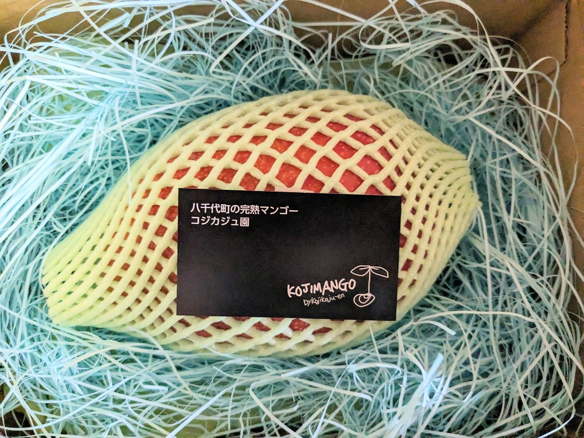 0.8～1kg 】 玉文 マンゴー（ギョクブン） 1～2玉（送料別