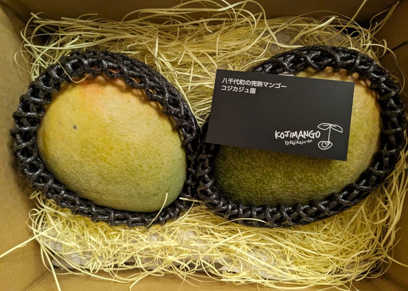 0.8～1kg 】 キーツ マンゴー 1～2玉（送料別） | コジカジュ園