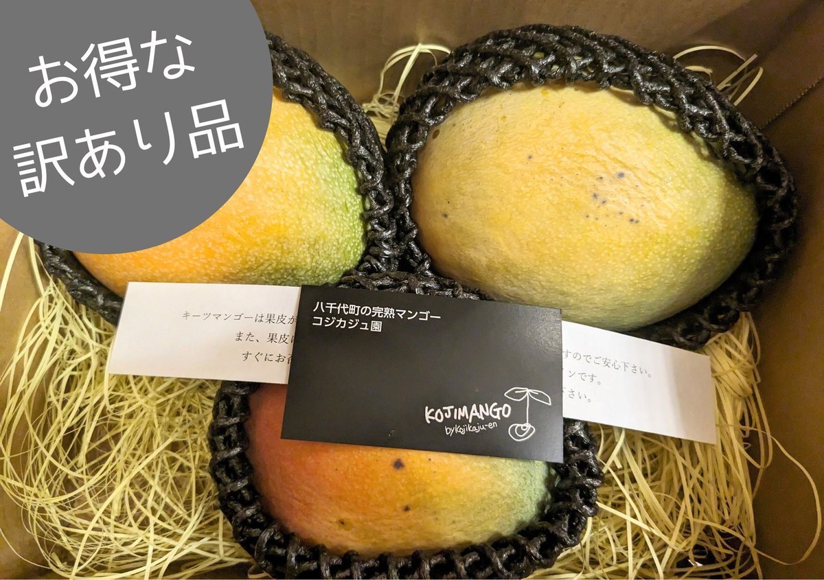 1.4~1.8kg 訳あり品 】キーツ マンゴー 2~4玉(送料別 1.4~1.8kg 訳あり品 】キーツ マンゴー 2~4玉(送料別