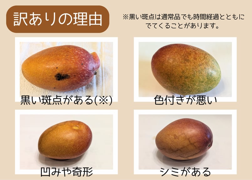 1.4～1.8kg 訳あり品 】キーツ マンゴー 2～4玉（送料別