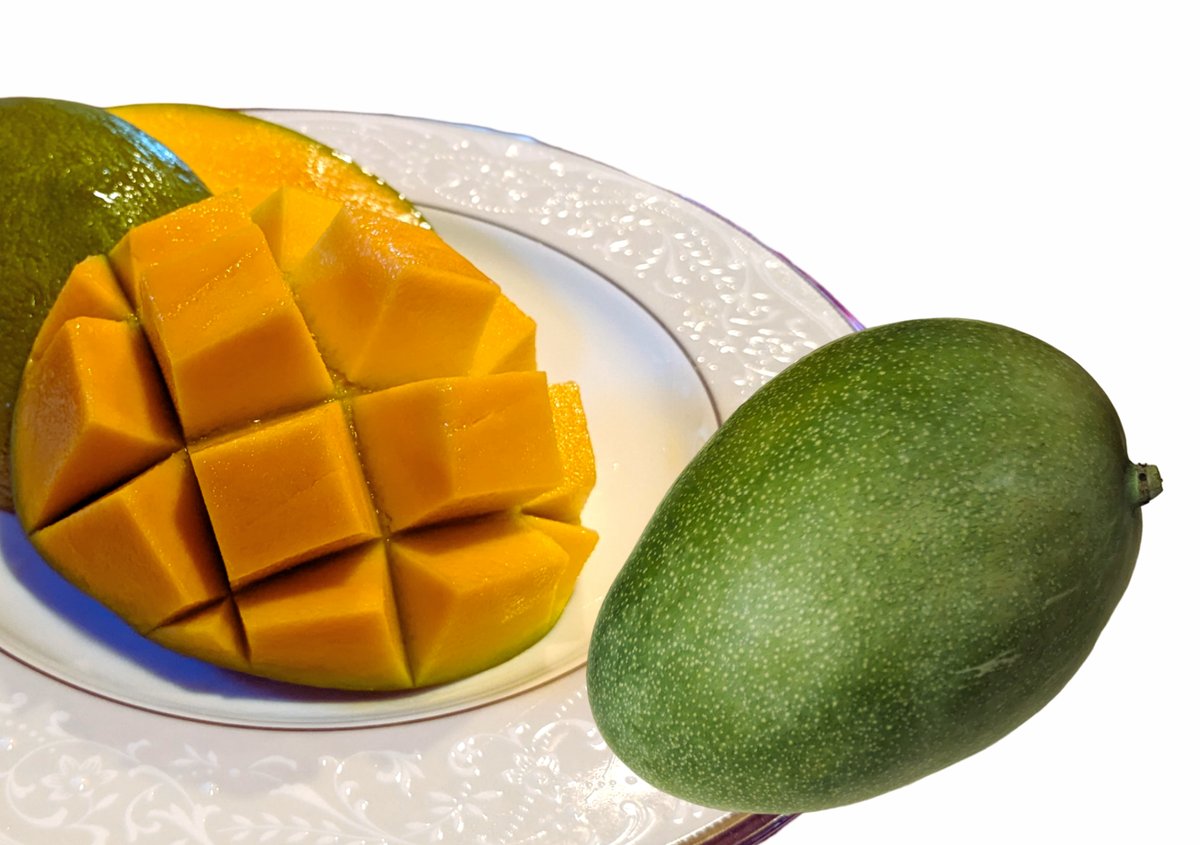 マンゴー 0.8～1kg 】 キーツ マンゴー 1～2玉（送料別） | コジカジュ園