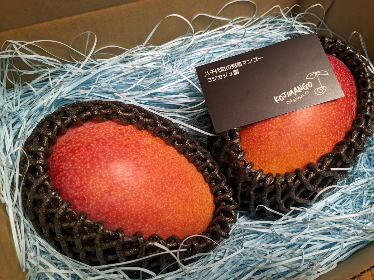 1.4～1.8kg 】アーウィン マンゴー 4～6玉（送料別） | コジカジュ園