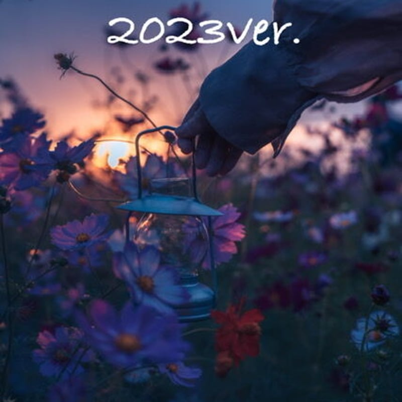 ポム様❣️専用ページ ポムの蒼。-4set-Lightroom preset | ポムの蒼。's STORE