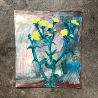 女は雑草１