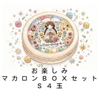 お楽しみマカロンBOXセット【S4玉】