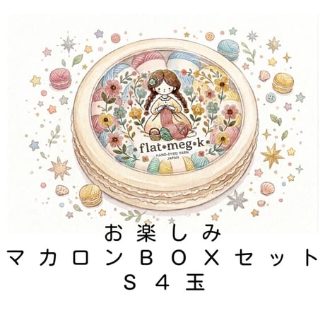 お楽しみマカロンBOXセット【S4玉】
