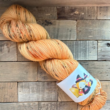 【受注販売】ソックヤーン/ Pumpkin