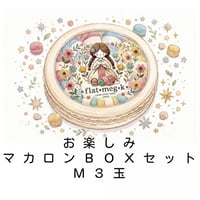 お楽しみマカロンBOXセット【M3玉】
