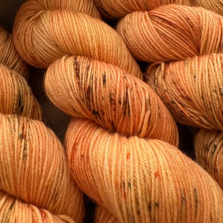 【受注販売】ソックヤーン/ Pumpkin