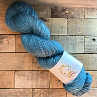 【受注販売】ソックヤーン/ 魔女の森