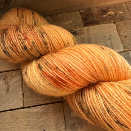【受注販売】ソックヤーン/ Pumpkin