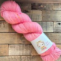 【受注販売】手染めソックヤーン/ Walking with Flamingos