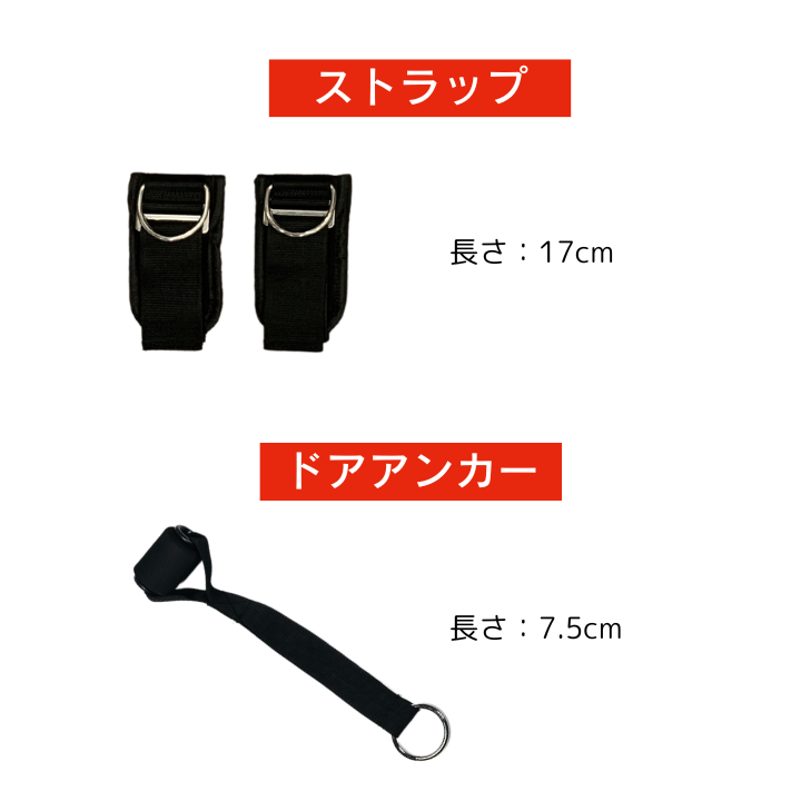 BODYBASE | avivo