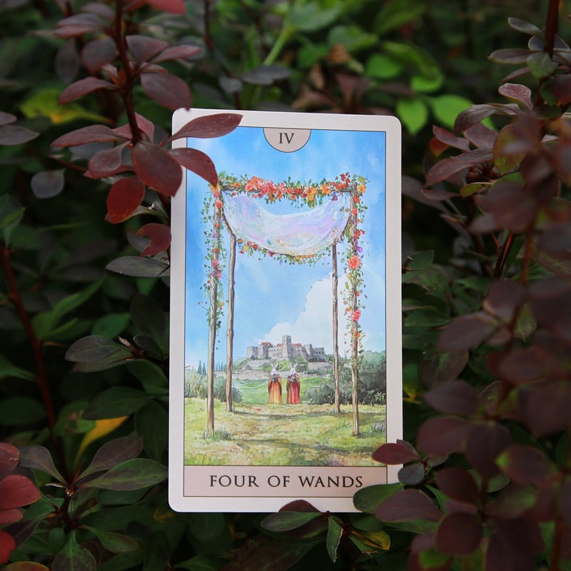 ラビットタロットカード (Rabbit Tarot) ｜作者直輸入・希少デッキ